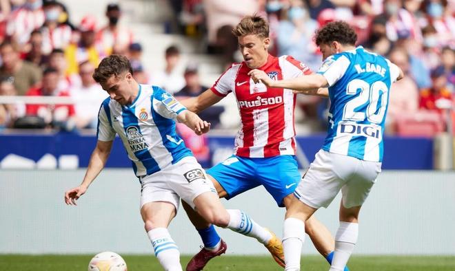 登顶胜者的 登顶胜者的