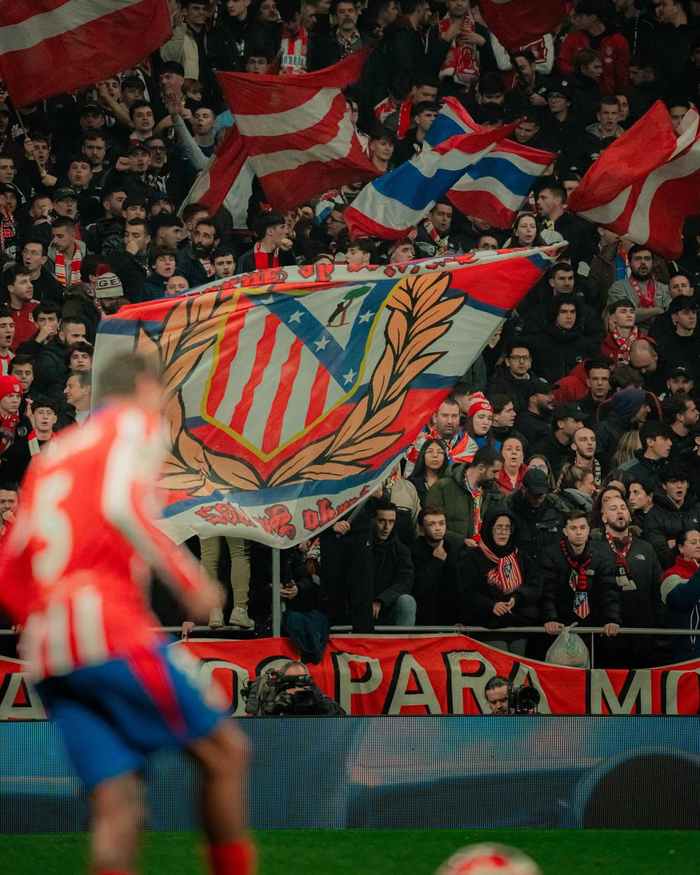 影响最终选 影响最终选