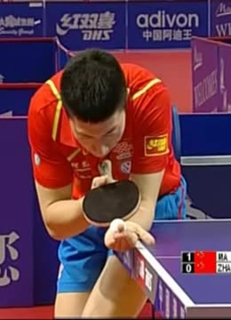 种尊严 种尊严